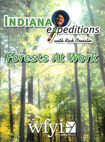 Indiana Expeditions - Forests at Work