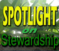 SOS: Spotlight on Stewardship