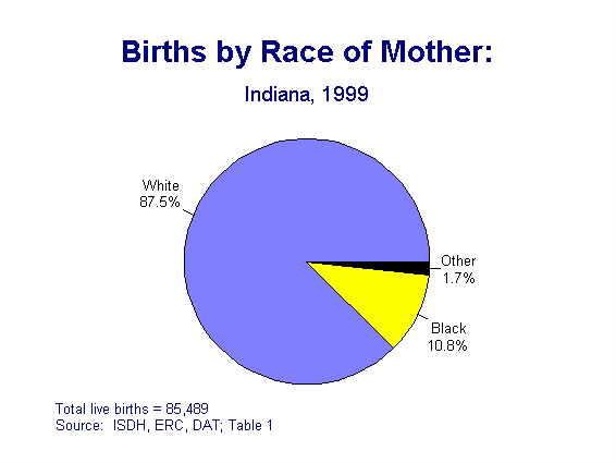 This figure is a pie chart of the percentage of births to Indiana residents in 1999 based on race of mother