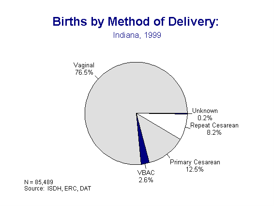 This figure is a pie chart indicating the percentage of births by the various methods of delivery in 1999
