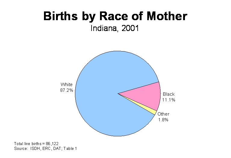 Figure 1 is a pie chart of the percentage of births to Indiana residents in 2001 based on race of mother.  For questions, call (317) 233-7349.