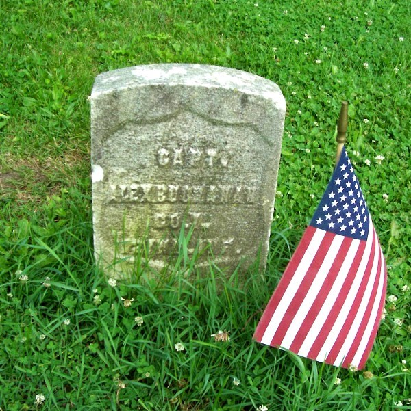 Gallery Thumbnail 709327