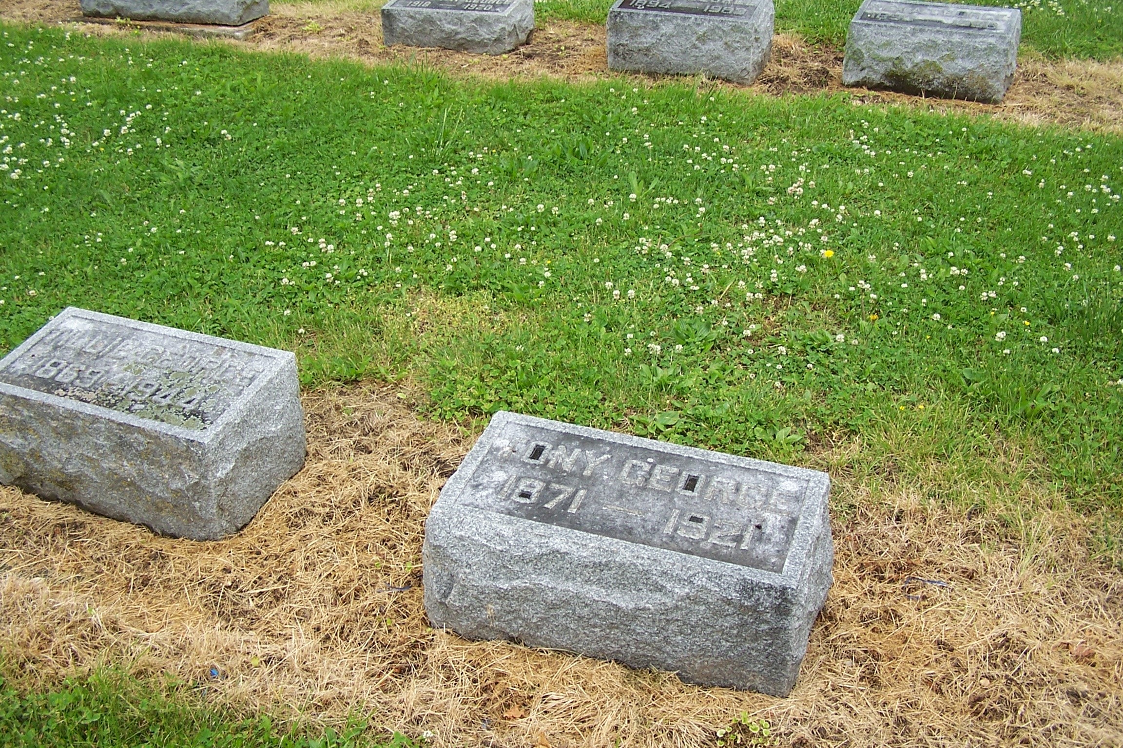 Gallery Thumbnail 709331