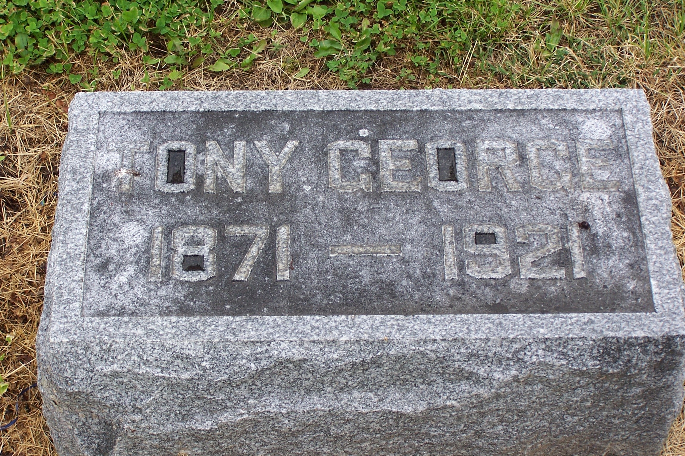 Gallery Thumbnail 709332