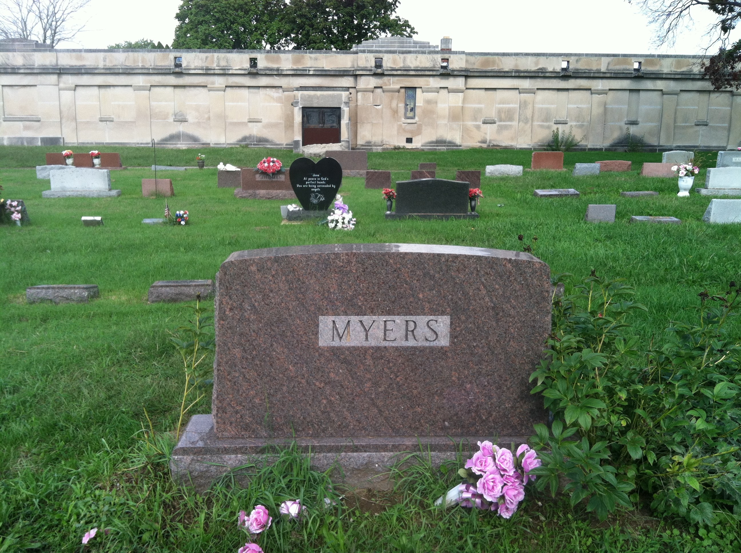 Gallery Thumbnail 709343