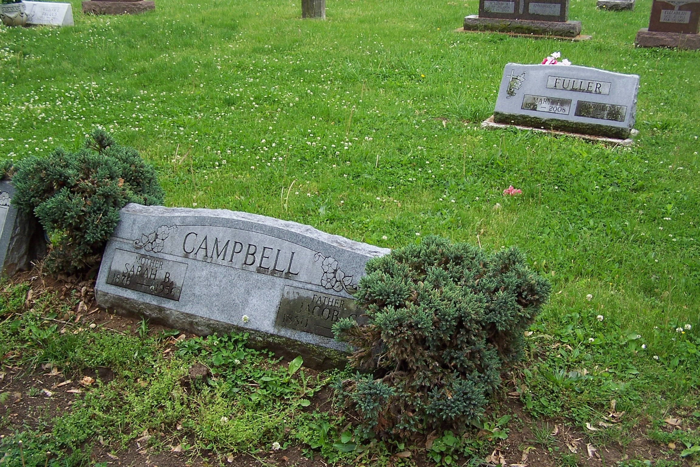 Gallery Thumbnail 709358