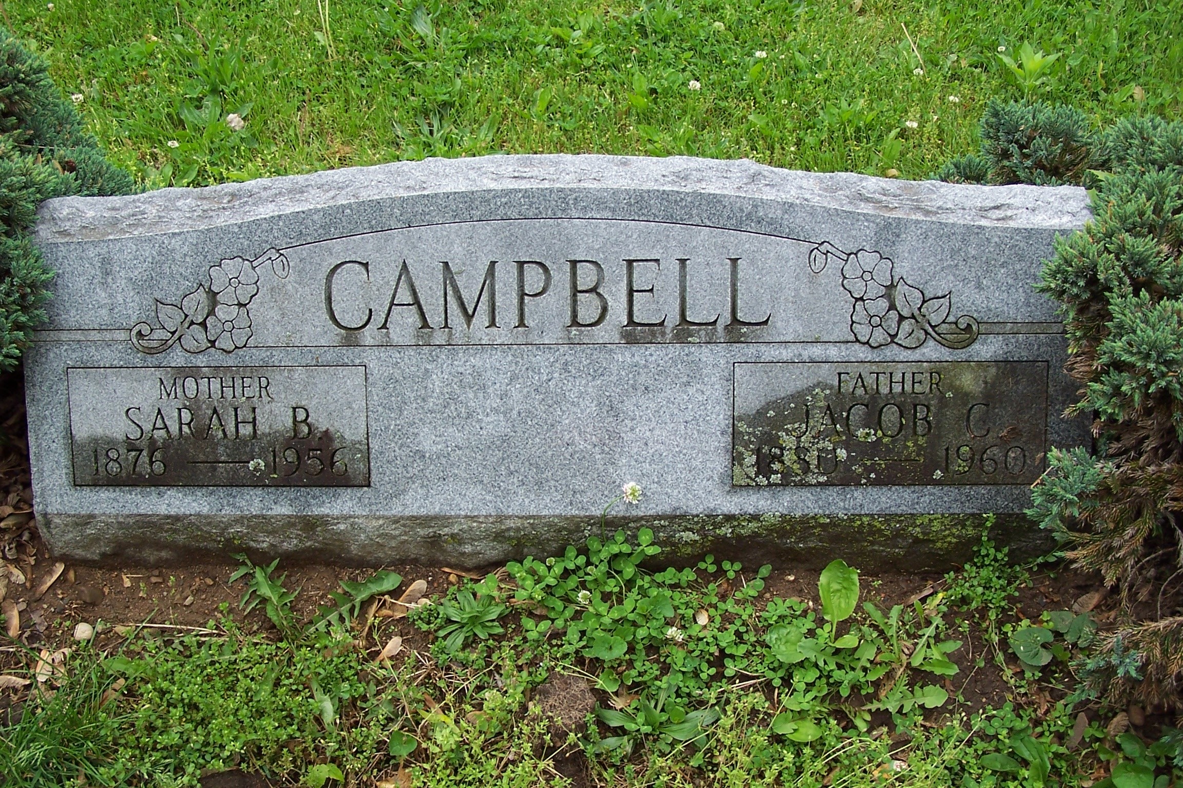 Gallery Thumbnail 709359