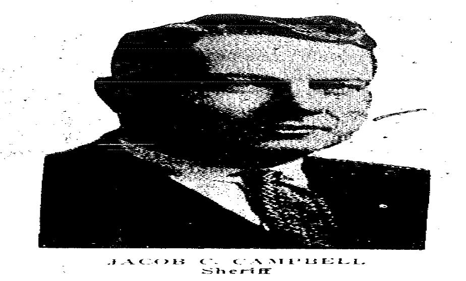 Gallery Thumbnail 709360