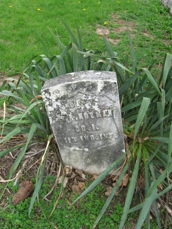 Gallery Thumbnail 709378