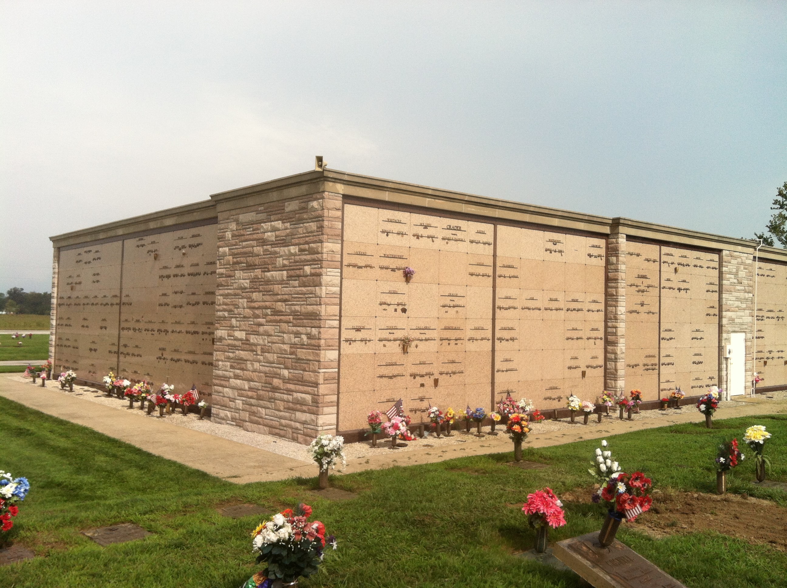 Gallery Thumbnail 709387