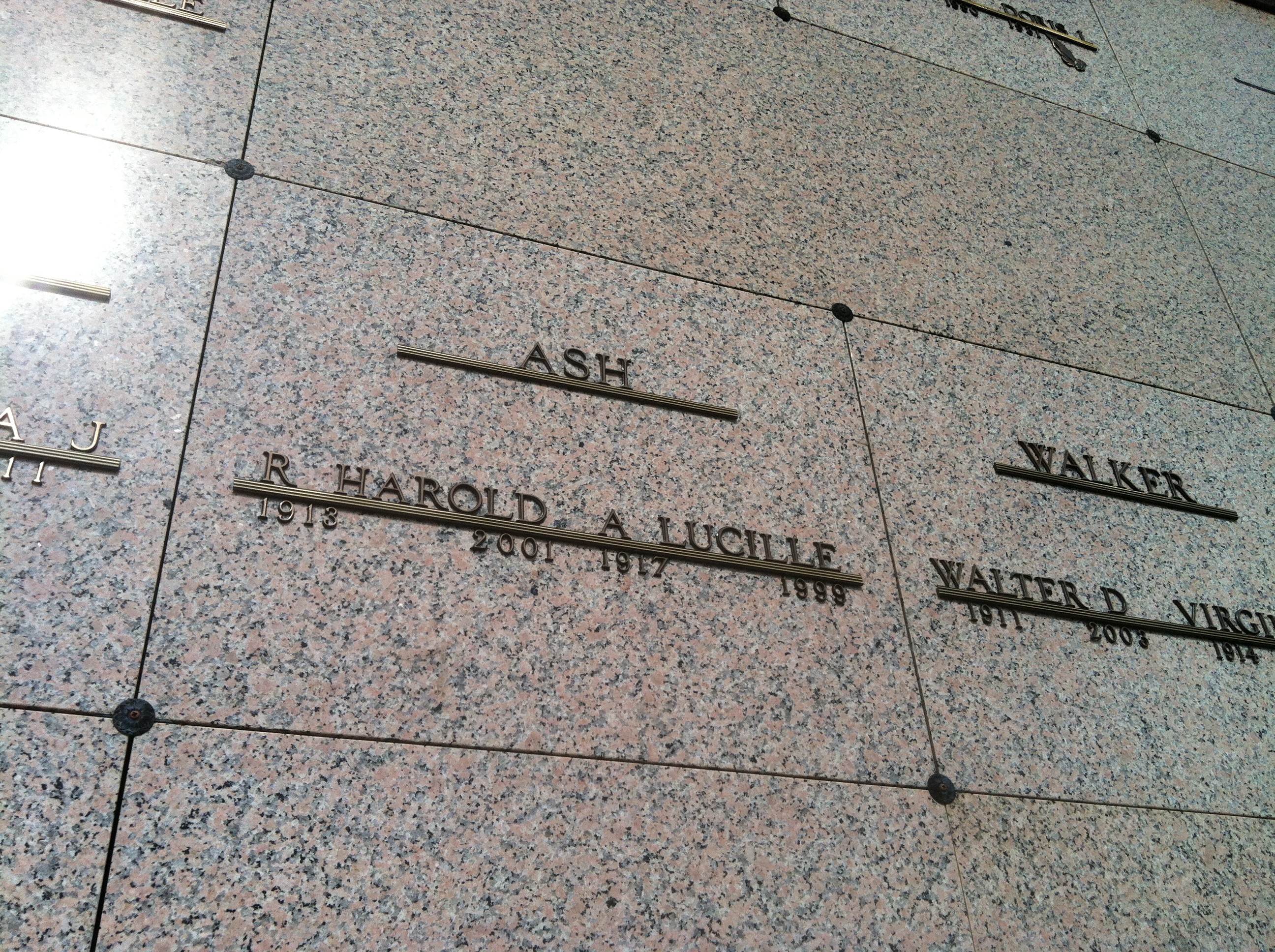 Gallery Thumbnail 709388