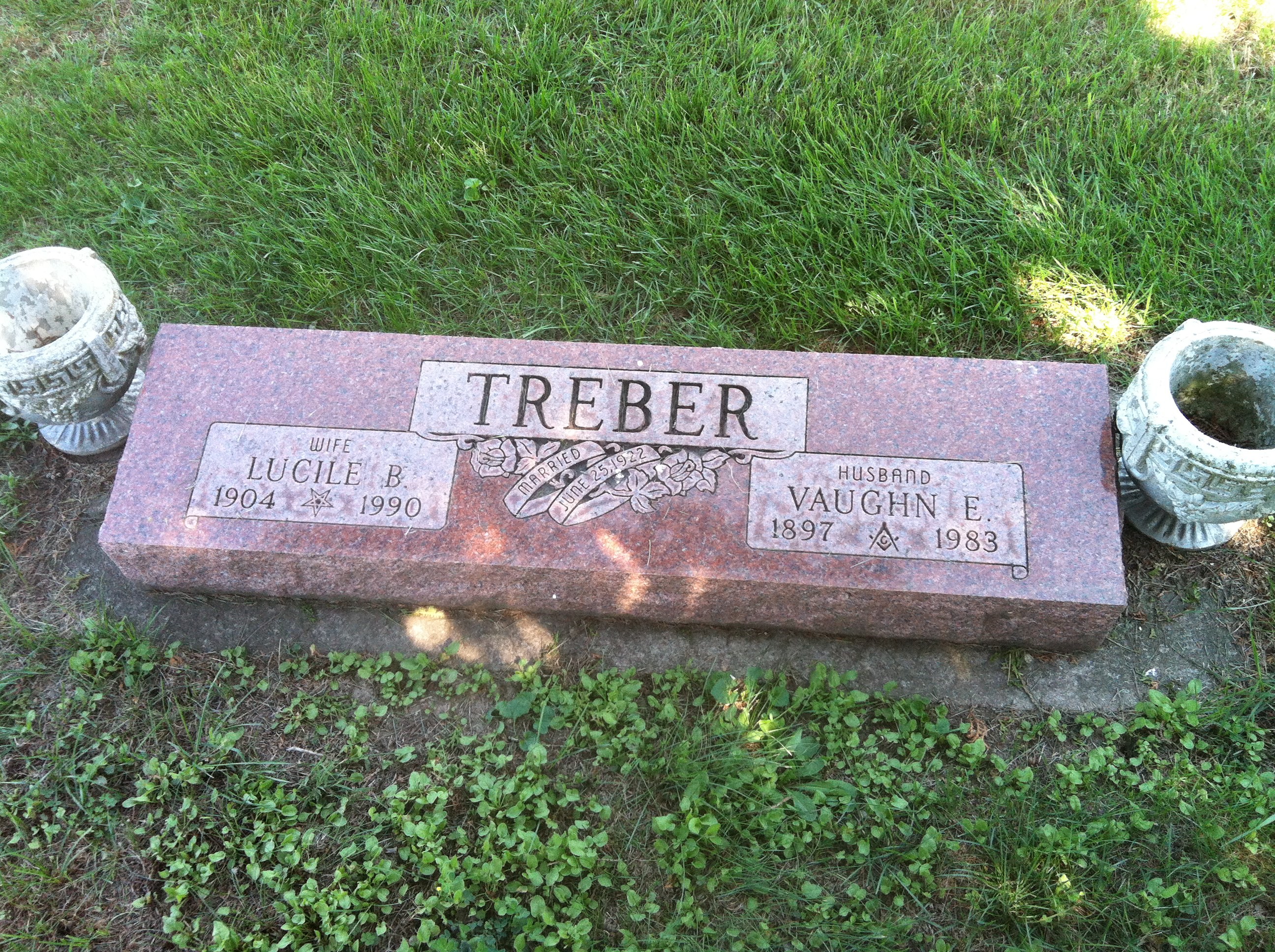 Gallery Thumbnail 709404