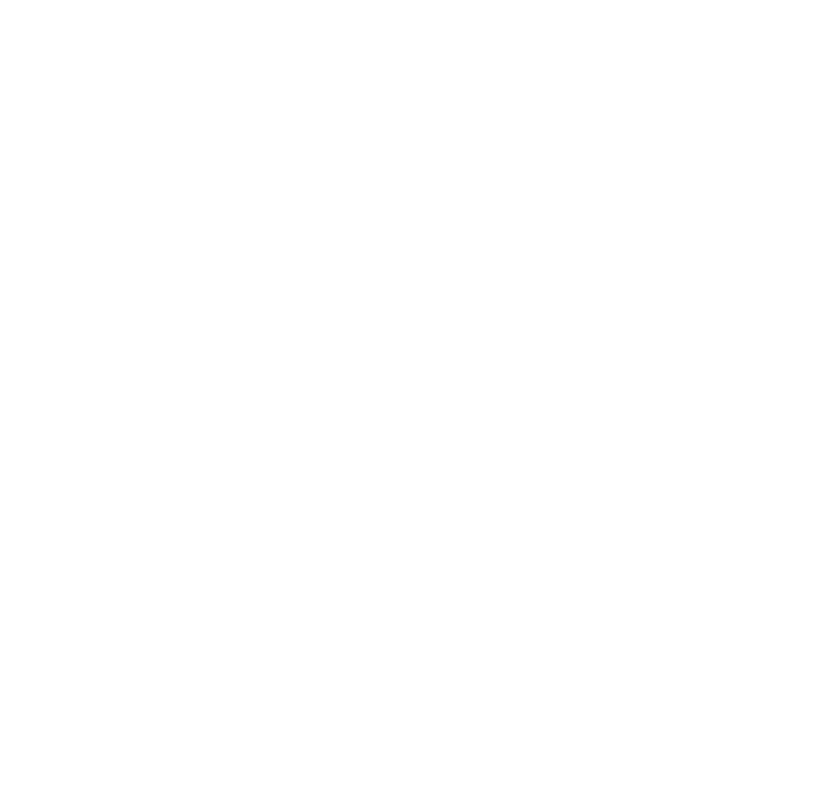 Martin County logo