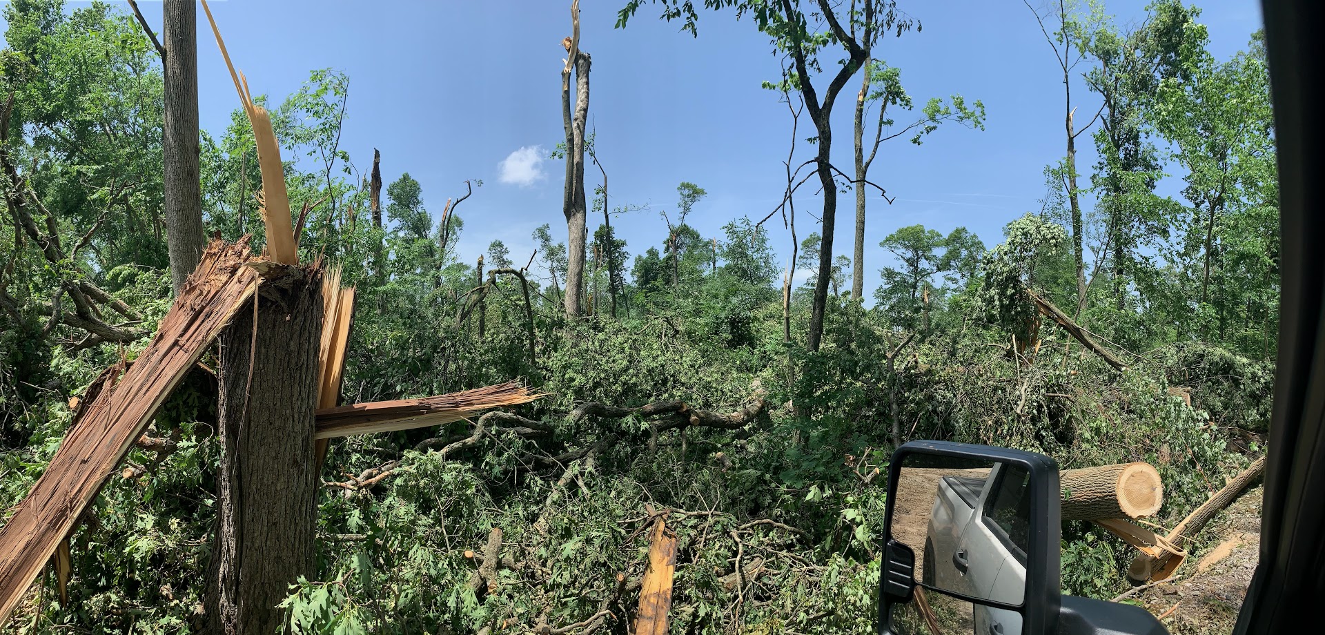 Storm Damage to Trees