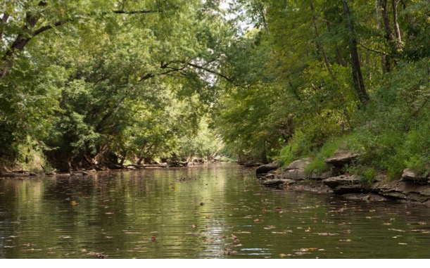 The Watershed Assessment and Planning Branch of IDEM&rsquo;s Office of Water Quality conducted a stream sampling event on the South Fork Blue River on September 8, 2015. The location was northwest of Palmyra along South Palmyra Road in Washington County.