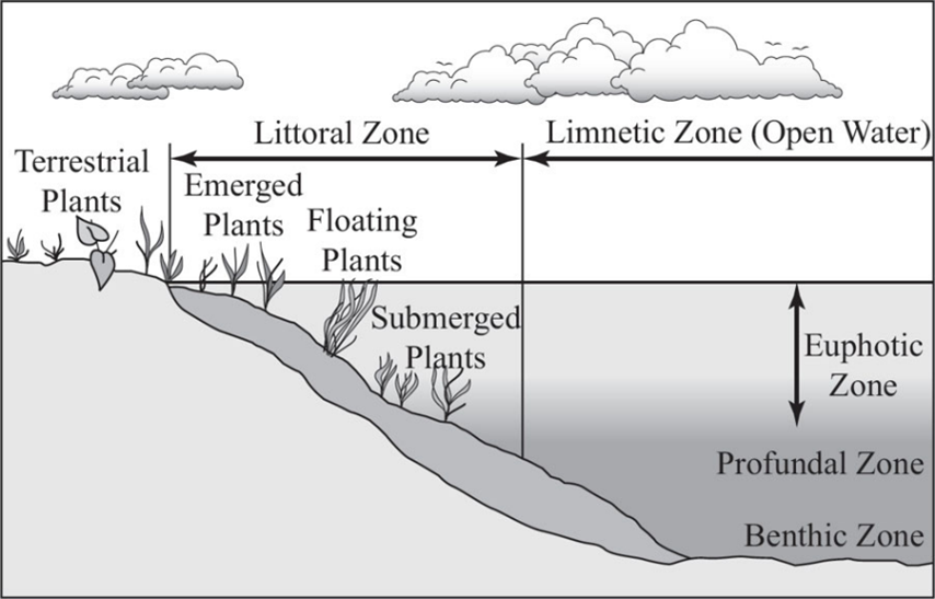 wa-Lake-Zones-Graphic.png