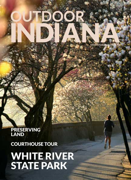 Magnolia trees bloom along the White River Trail at White River State Park in Indianapolis.  Photo by Brent Drinkut.  