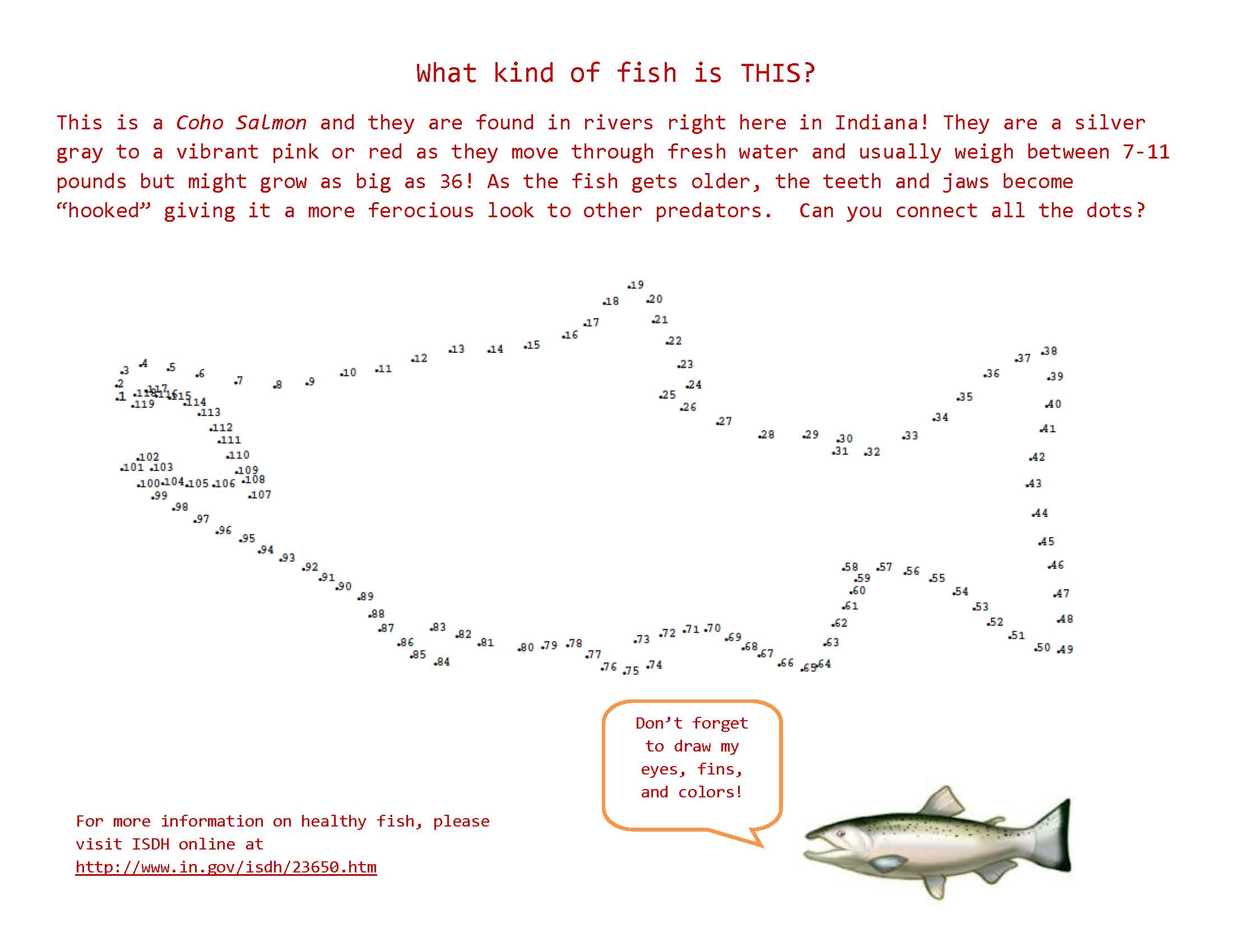 Coho Salmon Connect the Dot