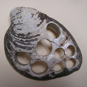 An old shell from a button factory with buttons punched out An old shell from a button factory with buttons punched out