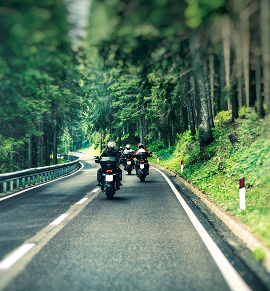 Group of motorcycles riding on a highway through a forested area.