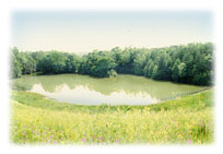 Reservoir 29