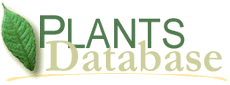 Logo - PLANTS Database