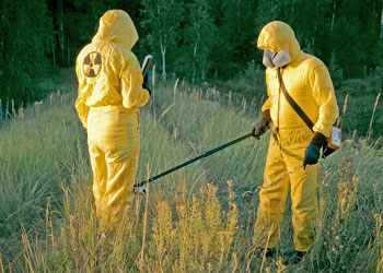 Hazmat workers scanning a field of grass