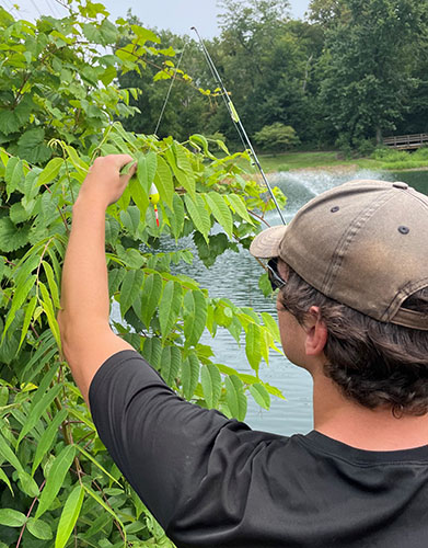 Angler with fishing line entangled in a tree