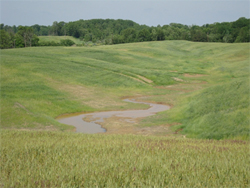 Abandoned Mines Land (AML) Site 2052