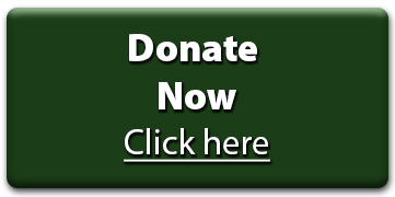 Click here to donate now
