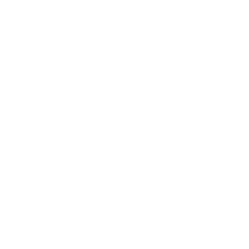 traffic cone icon