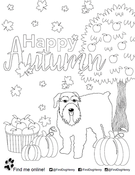 Autumn