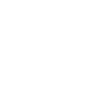 Car Icon