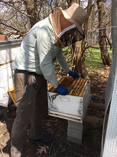 ep-jared-bee-keeper.JPG