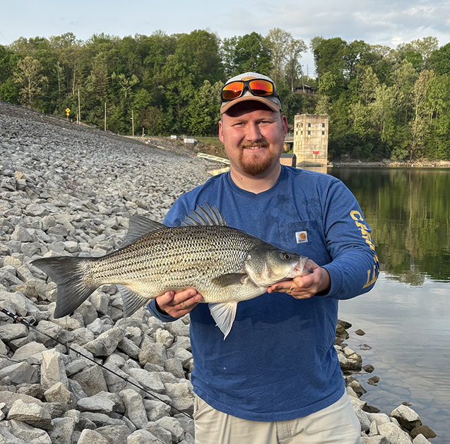 fw-Hybrid-Striped-Bass-Monroe-Lake.jpg