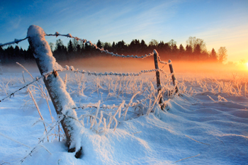 Winter Weather Preparedness image Fence with snow in field