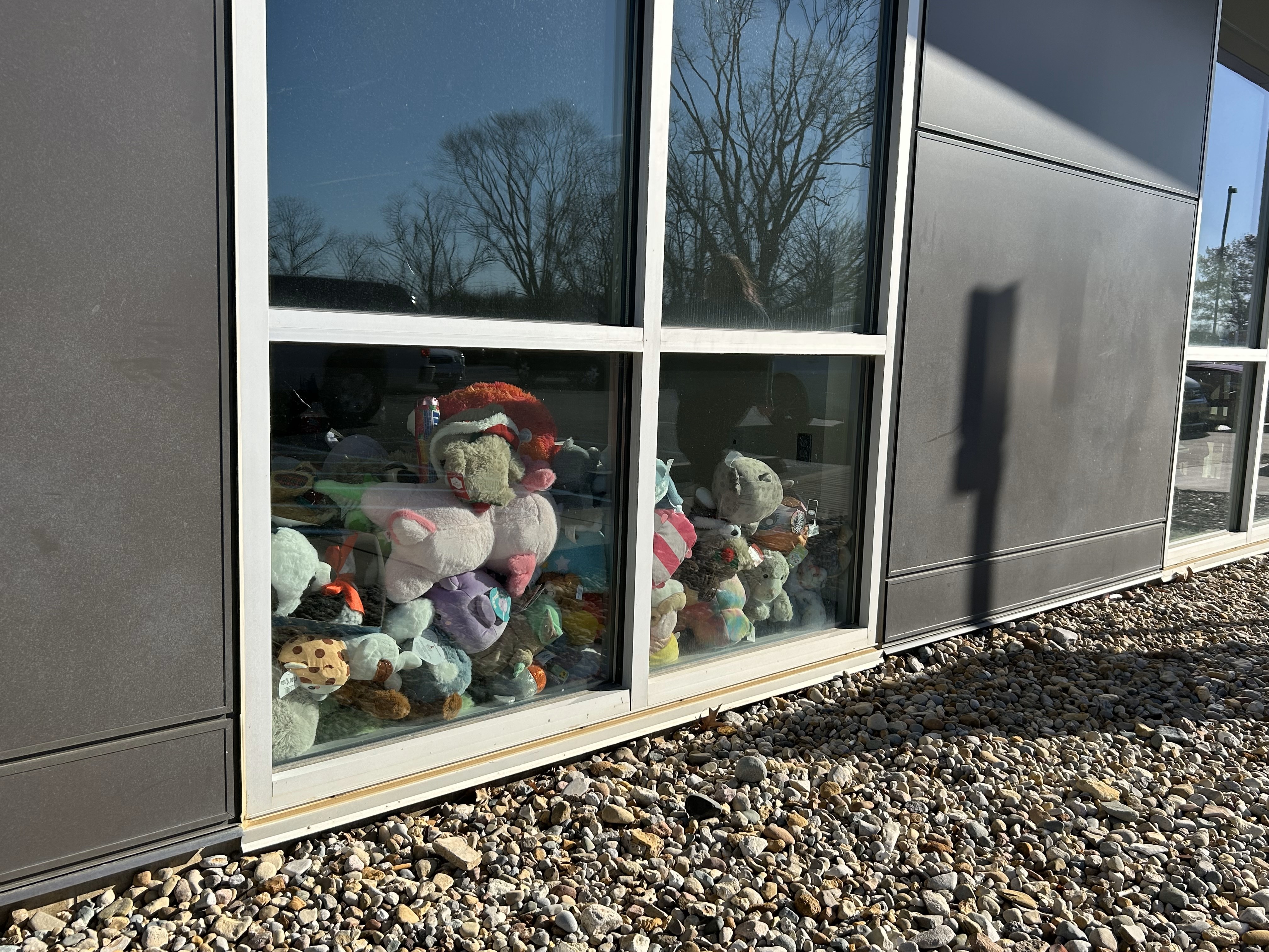 Toys in the window