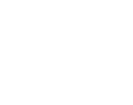 initiatives-overview.png