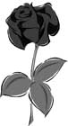 rose.jpg