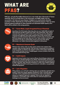 PFAS Fact Sheet
