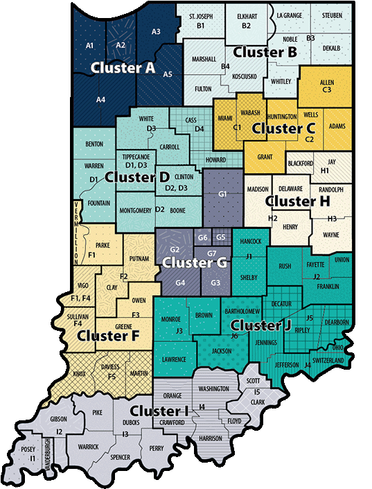 First Steps cluster map