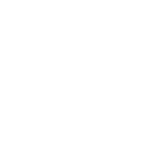 Icon_AbilityIndiana.png