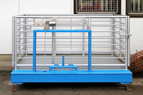 Livestock scale
