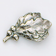 Silver Oakleaf Cluster Silver Oakleaf Cluster