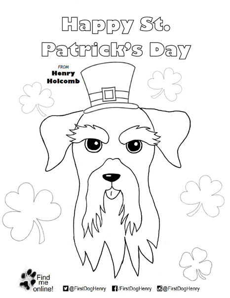 Saint Patricks
