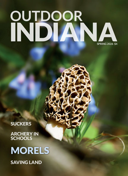 A yellow morel and Virginia bluebells in Harrison County. Photo by John Maxwell.
