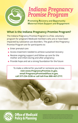 IPPP Poster