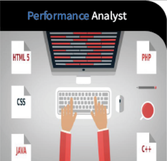 Performance Analyst
