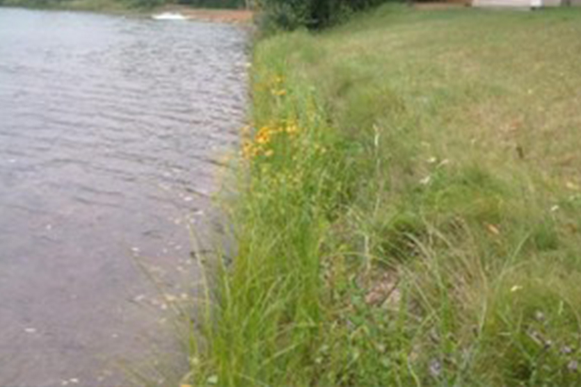 wa-natural-shoreline.jpg