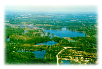 Greene-Sullivan State Forest